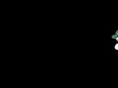 320x240