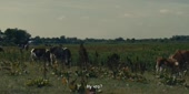 1152x576