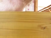 480x360