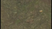 1280x720