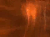 320x240