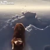 360x360