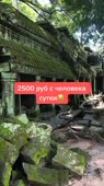 540x960