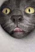 494x720