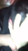 406x720