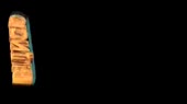 1280x720