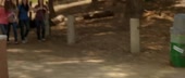 860x366