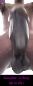184x480