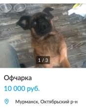 600x753