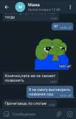 480x742