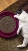 360x640