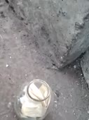 270x360