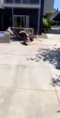 360x710