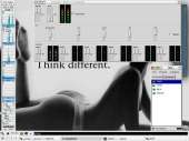 1024x768
