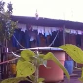 360x360