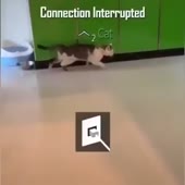 360x360