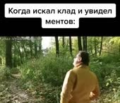 540x466