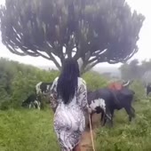 360x360
