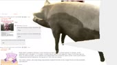 640x360