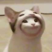 299x299