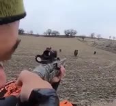 384x352