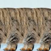 256x256