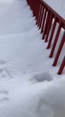 450x802