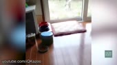 800x450