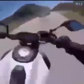 460x460