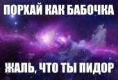 400x271