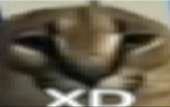 656x414