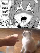 613x797