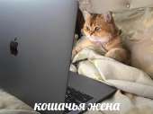 1080x810