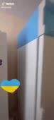 288x640