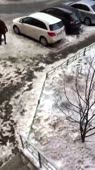 360x640