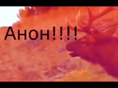 480x360