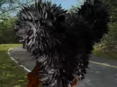 480x360