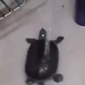 360x360