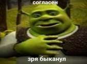 1080x799