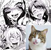 1080x1070