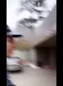 264x360