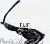 527x465