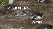 480x266