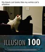 1080x1236