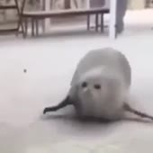 360x360