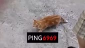 640x360