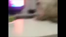 640x360