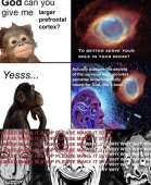 692x843