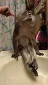 406x720