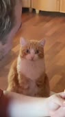 406x720